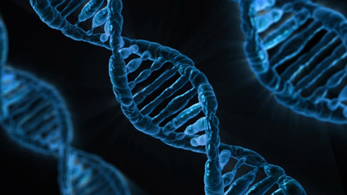 Il nuovo strumento permette di avere immagini in alta risoluzione