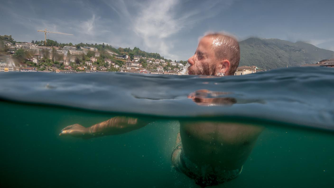 C'è chi si rinfresca nel lago Maggiore...