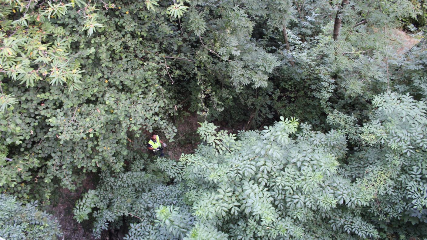 Mergoscia, 20 luglio 2015