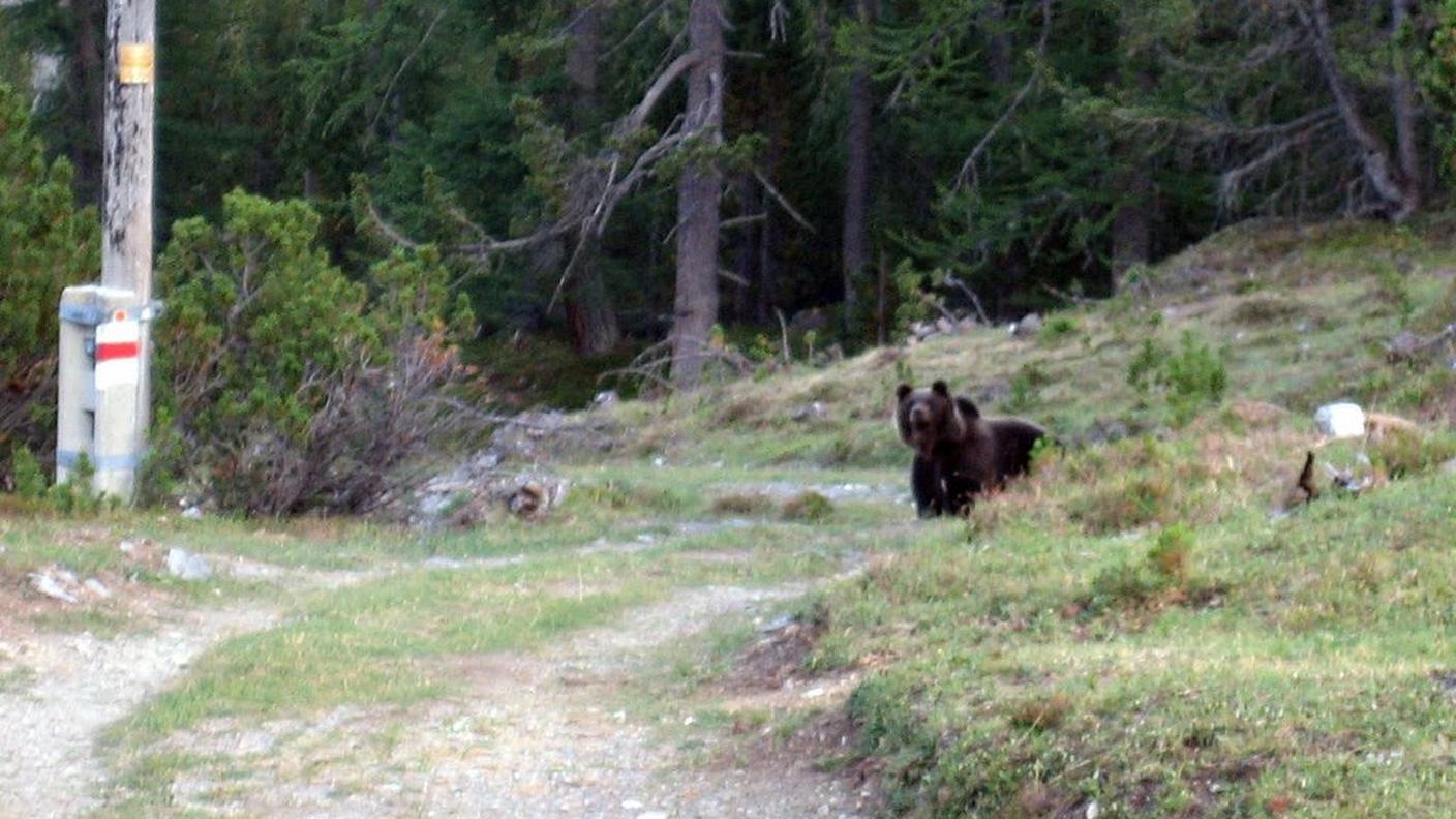 JJ2 sul Passo del Forno nel 2005