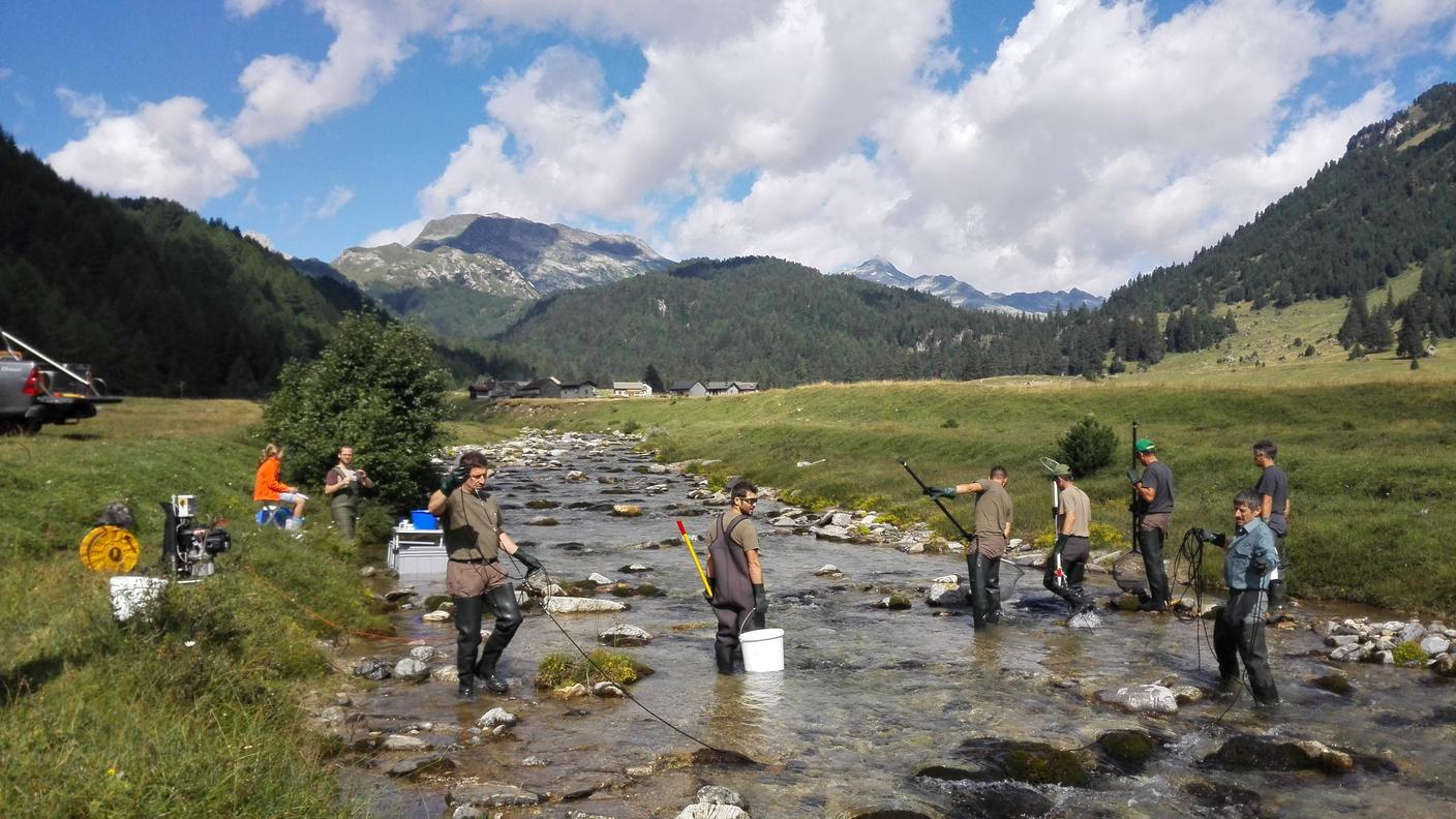 La squadra al lavoro a Pian Segno