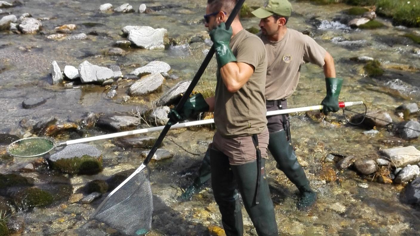 La tecnica dell'elettropesca impone qualche precauzione