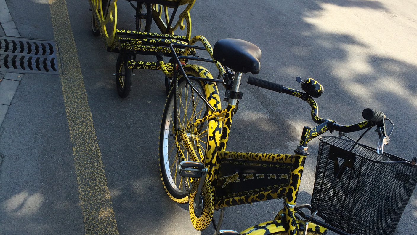 ...bici da traino...