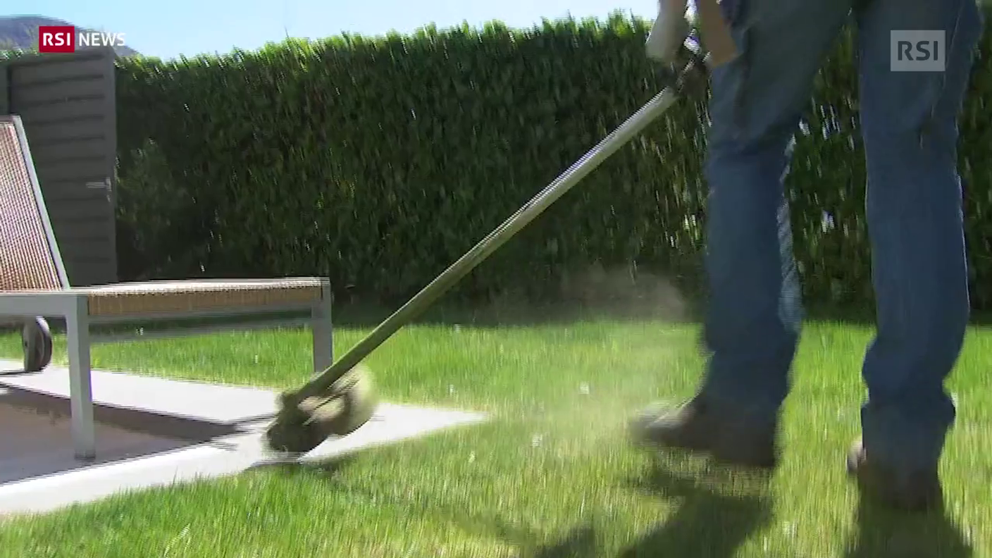 I giardinieri ticinesi sono tornati al lavoro