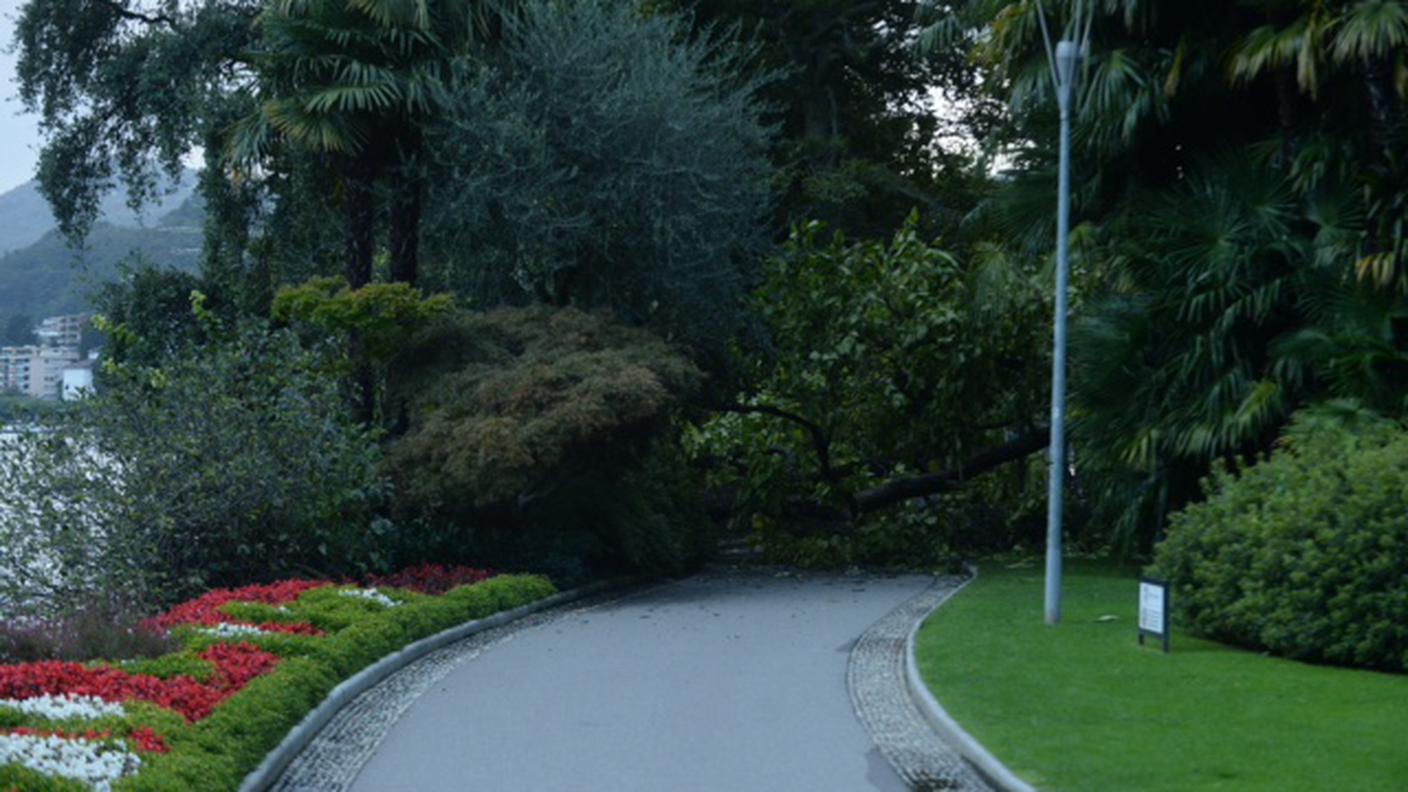 Parco Ciani a Lugano