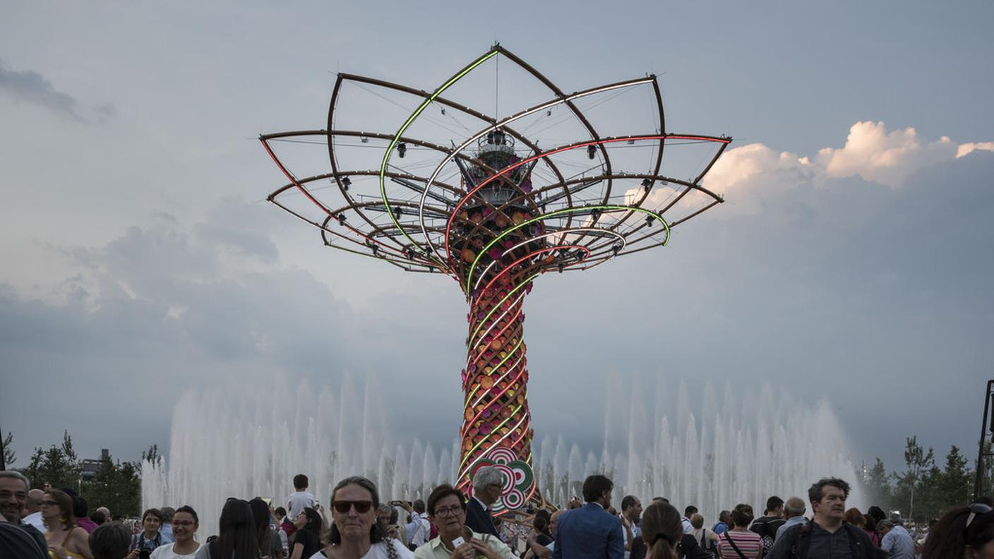 L'albero della vita
