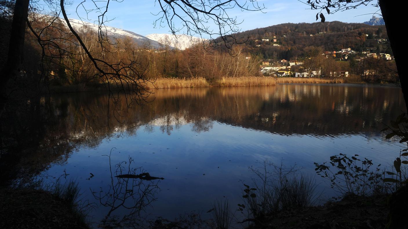 Laghetto d'Origlio