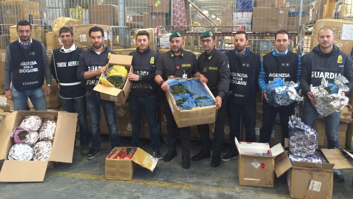 Gli inquirenti con parte del khat sequestrato