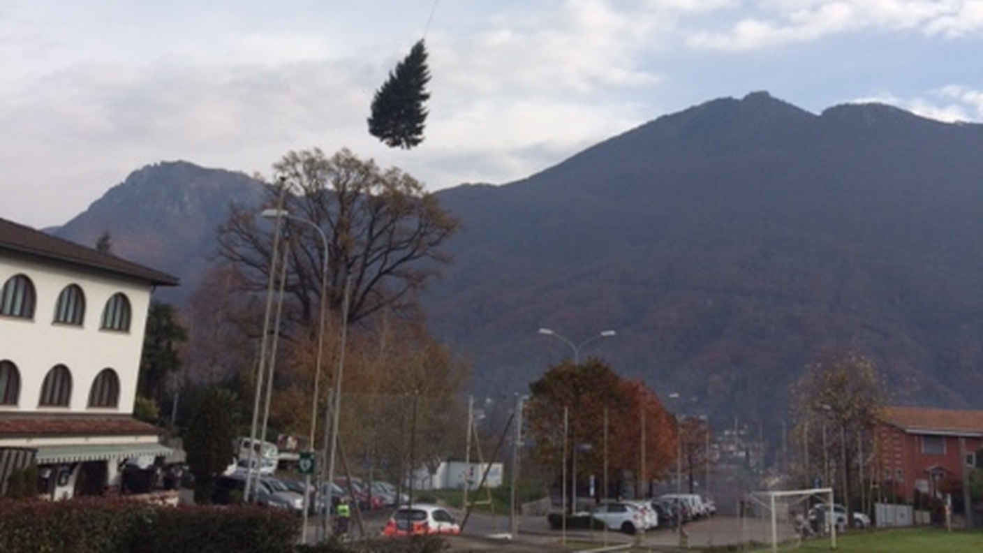 Prelevato a Comano