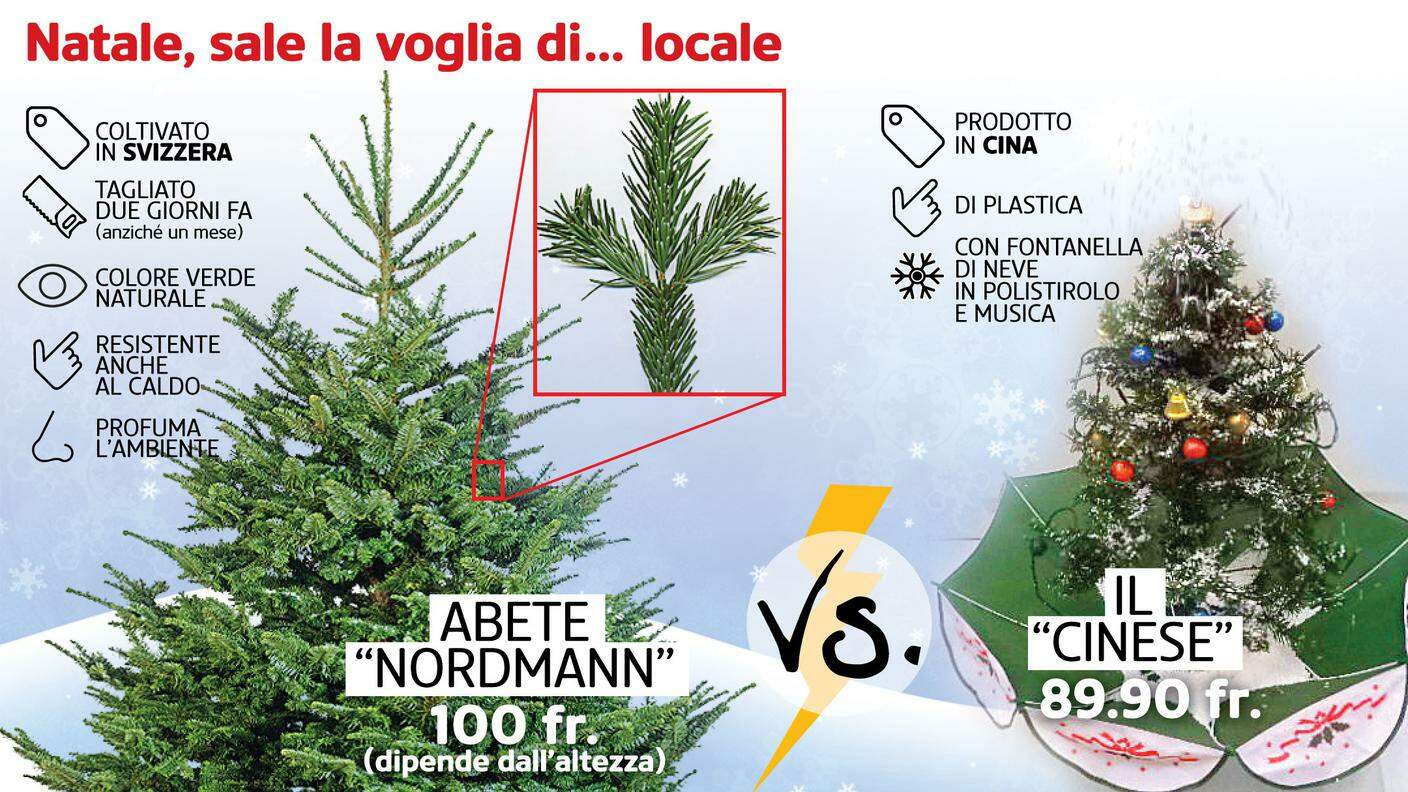 Natale 2015, il confronto tra alberi