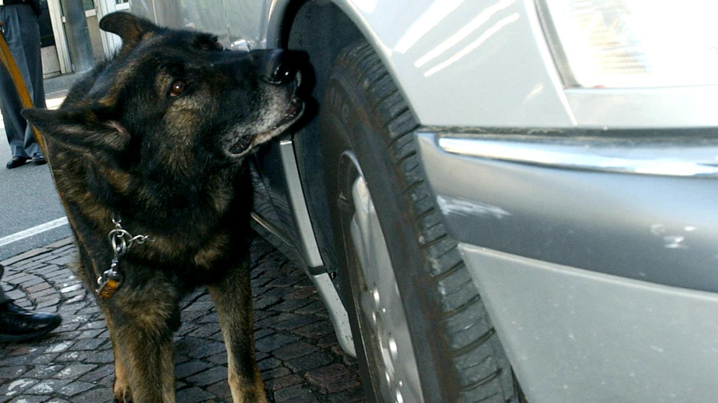 Cane antidroga in azione a Chiasso