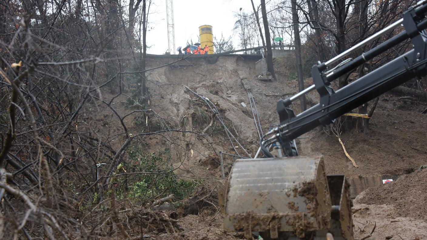 Il franamento ha devastato un'ampia zona boschiva