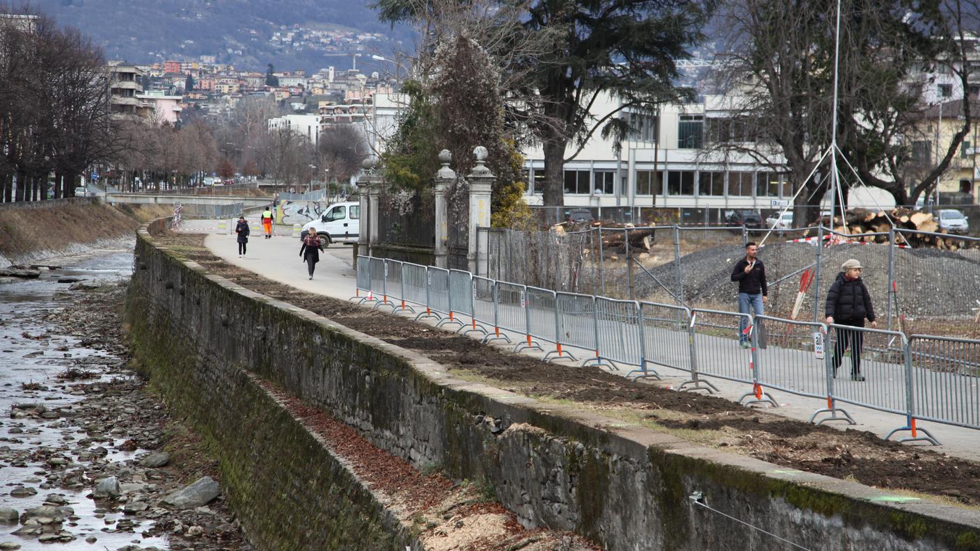 Viganello, l'argine del Cassarate senza ippocastani