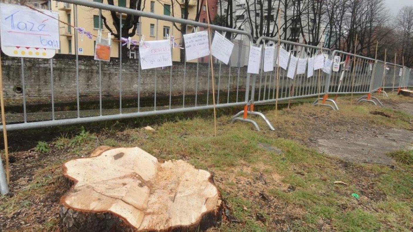 Idee, domande, ricordi lungo il Cassarate, dove sorgevano gli ippocastani.