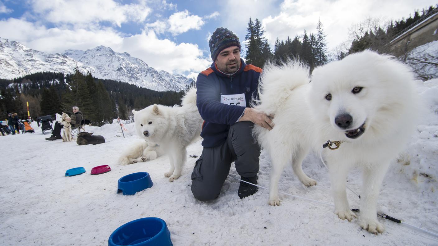 Reto Strehler mentre coccola i suoi cani a gara finita
