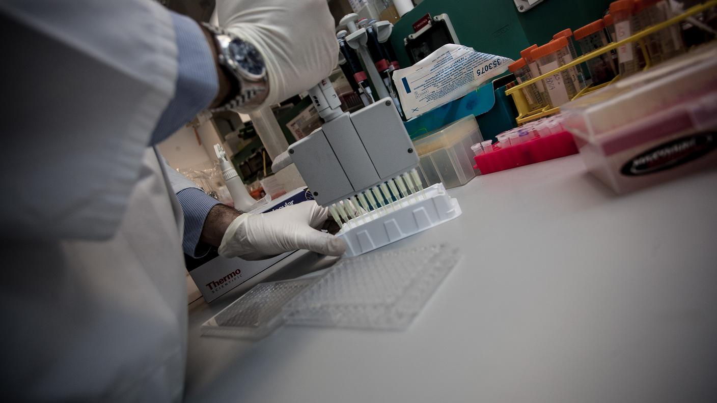 I premiati per la loro ricerca nel campo medico sono in tutto 26