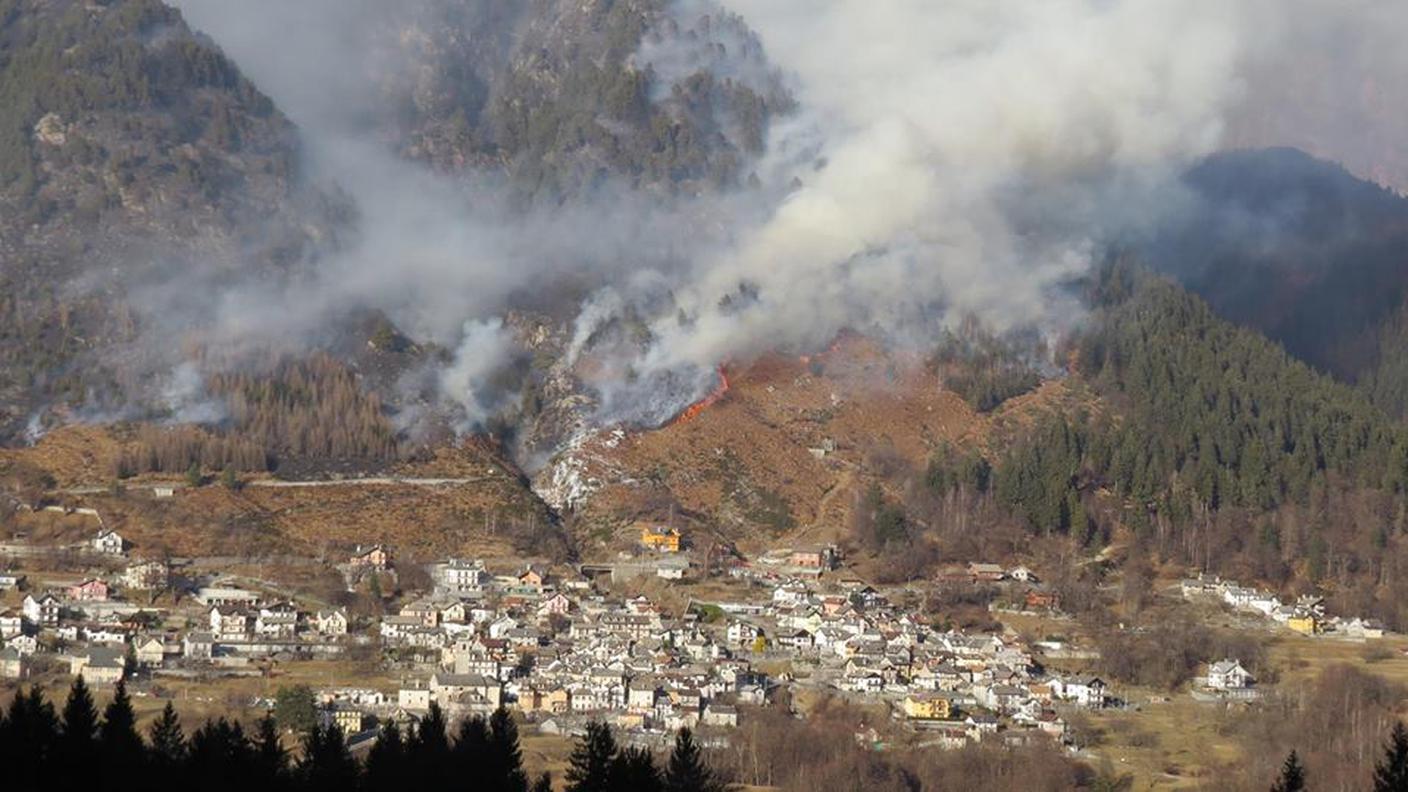 Le fiamme continuano a devastare il bosco