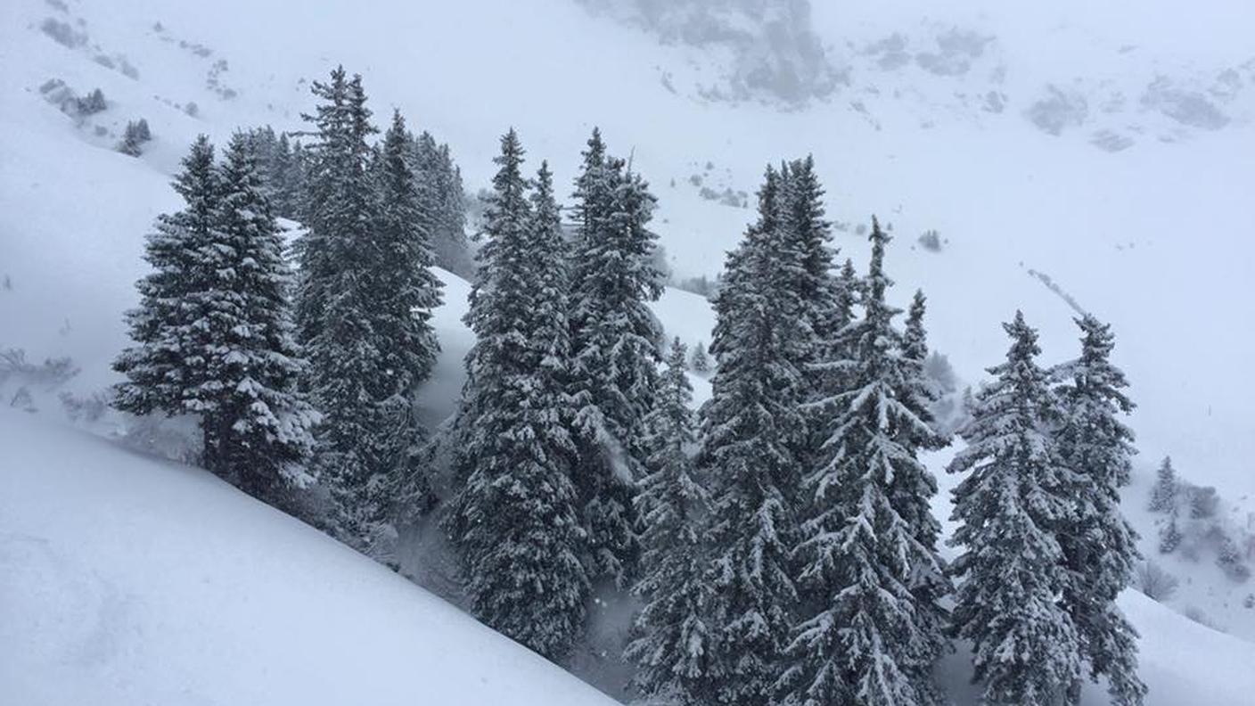 Neve, neve, neve...