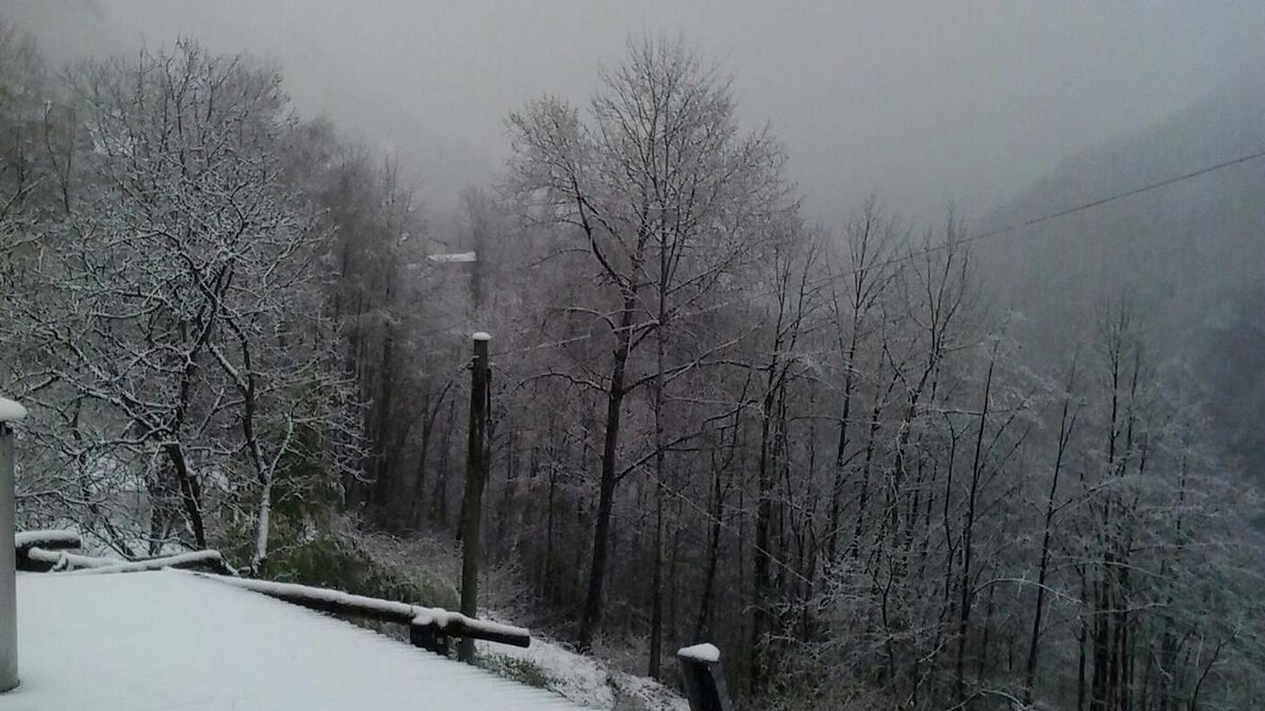 Neve a Crana