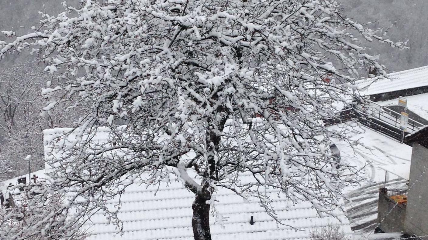 Neve a Gresso