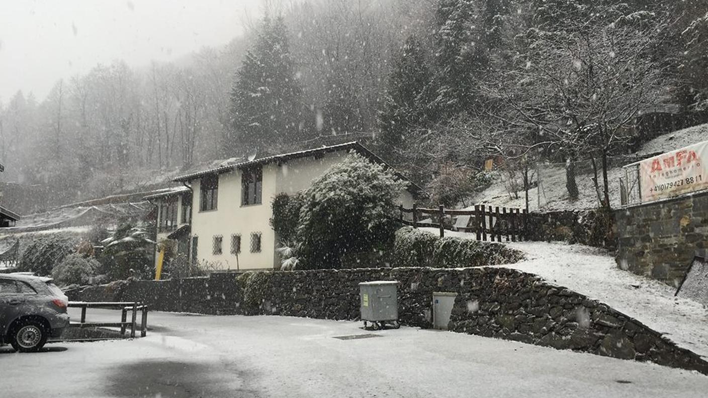 Neve a Nadro