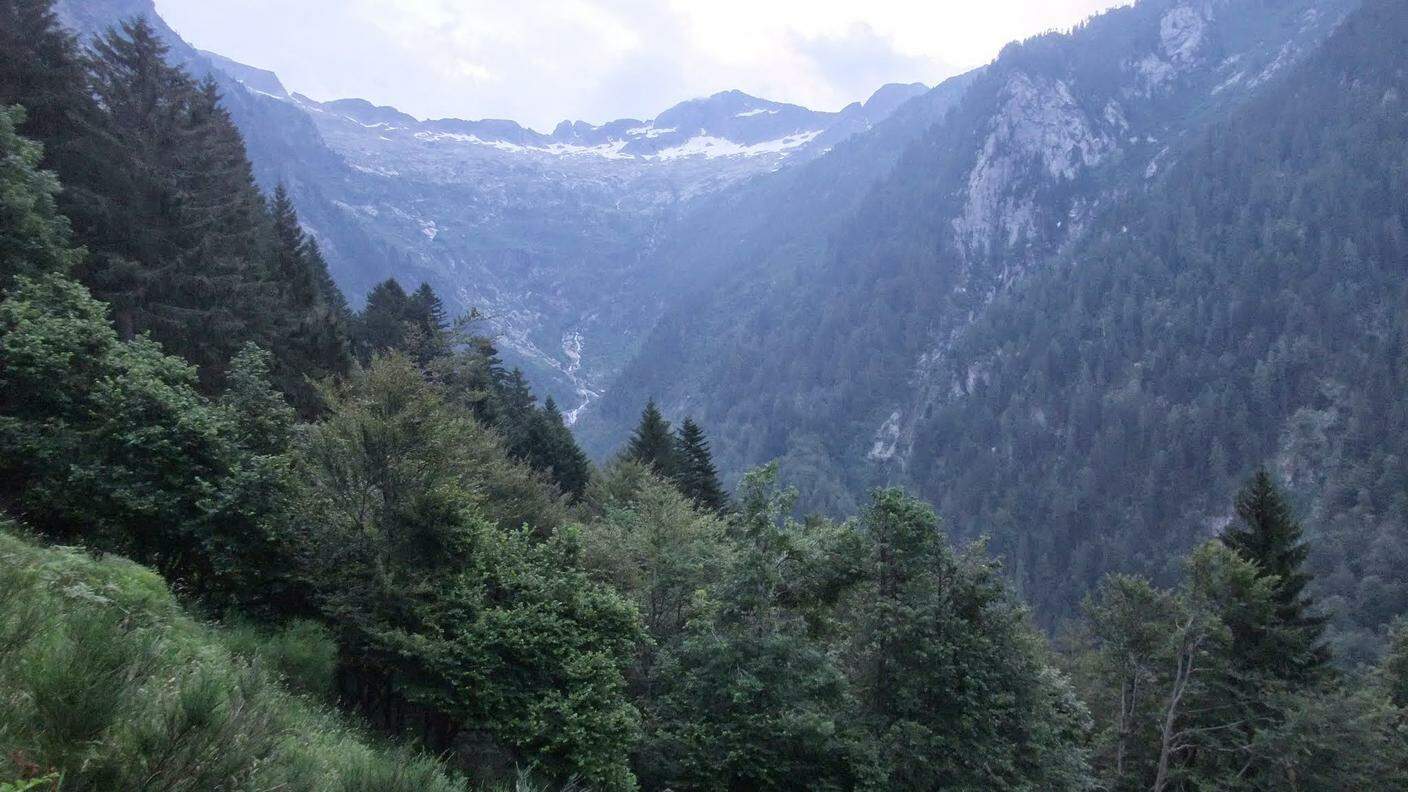 La Val Grono vista dall'Alpe della Piazza