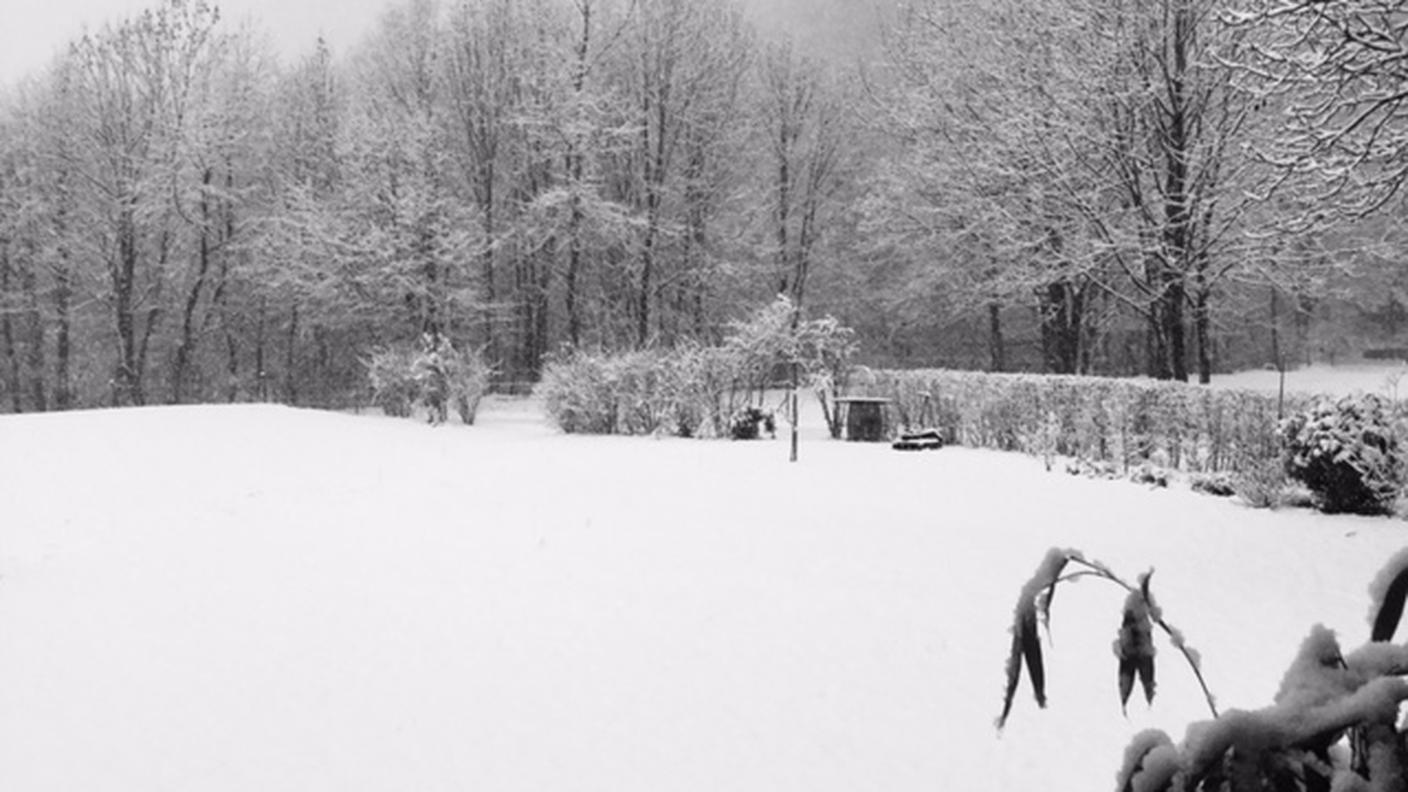 Paesaggio sotto la neve a Lostallo