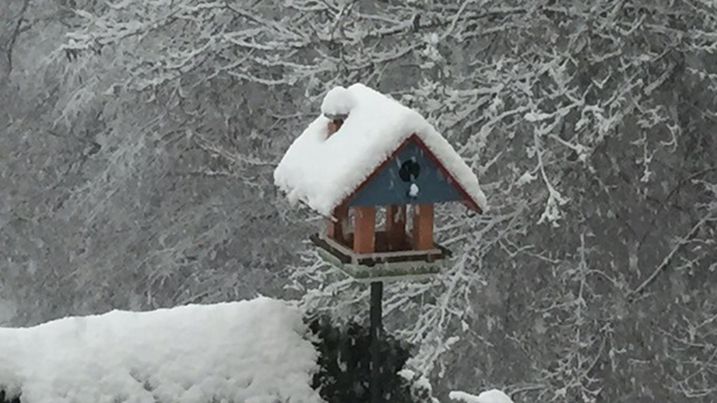 Un riparo sicuro a Nanteghe (Lugaggia)