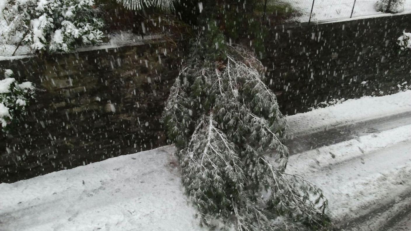 Via Selva tra Lugano e Massagno