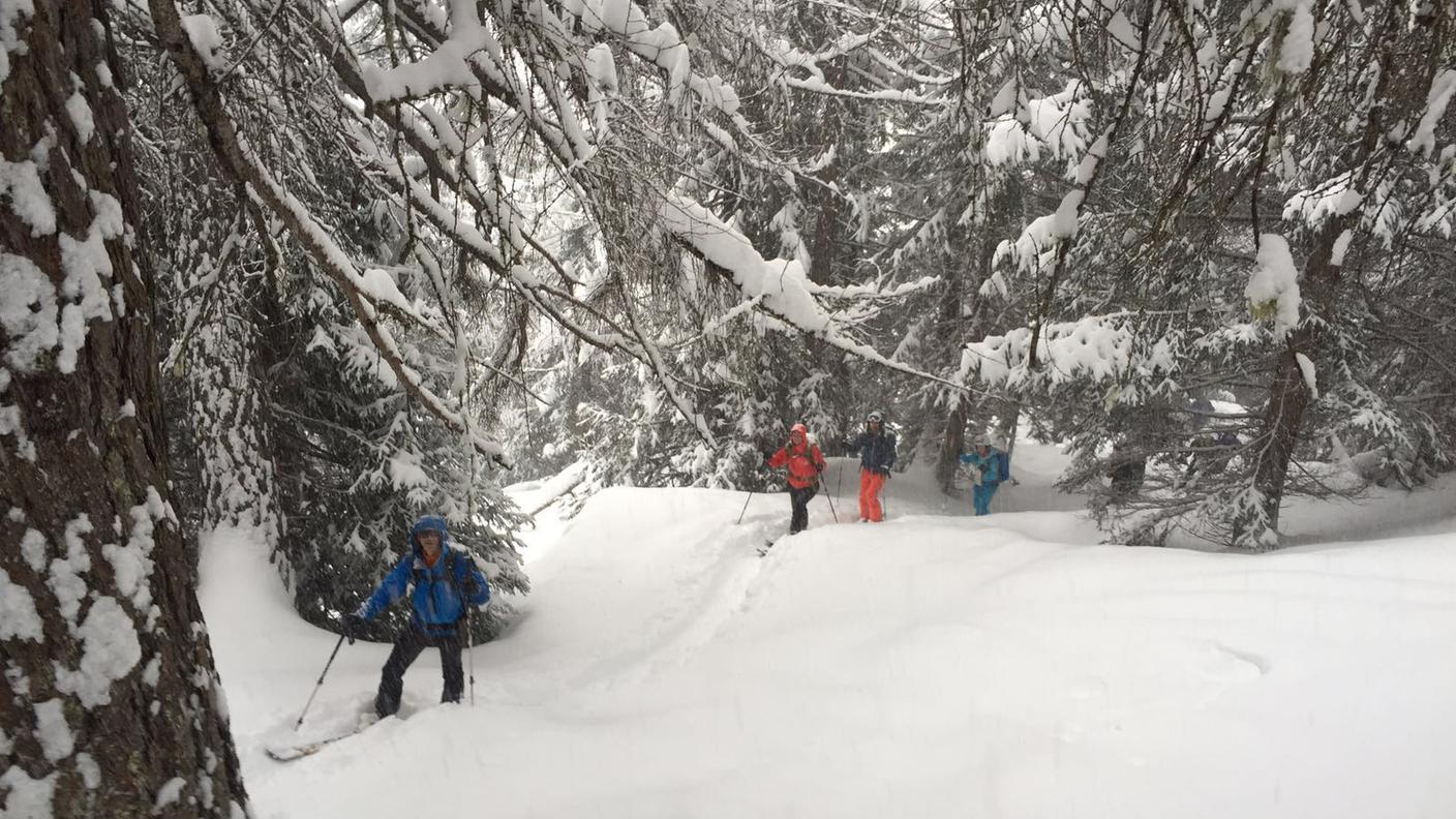 Sci-escursionisti in Valle Bedretto