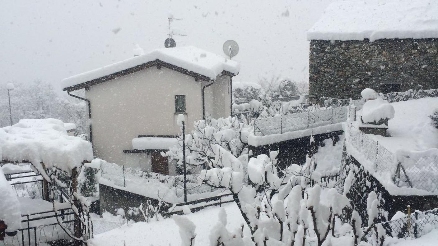 Bidogno sotto la neve