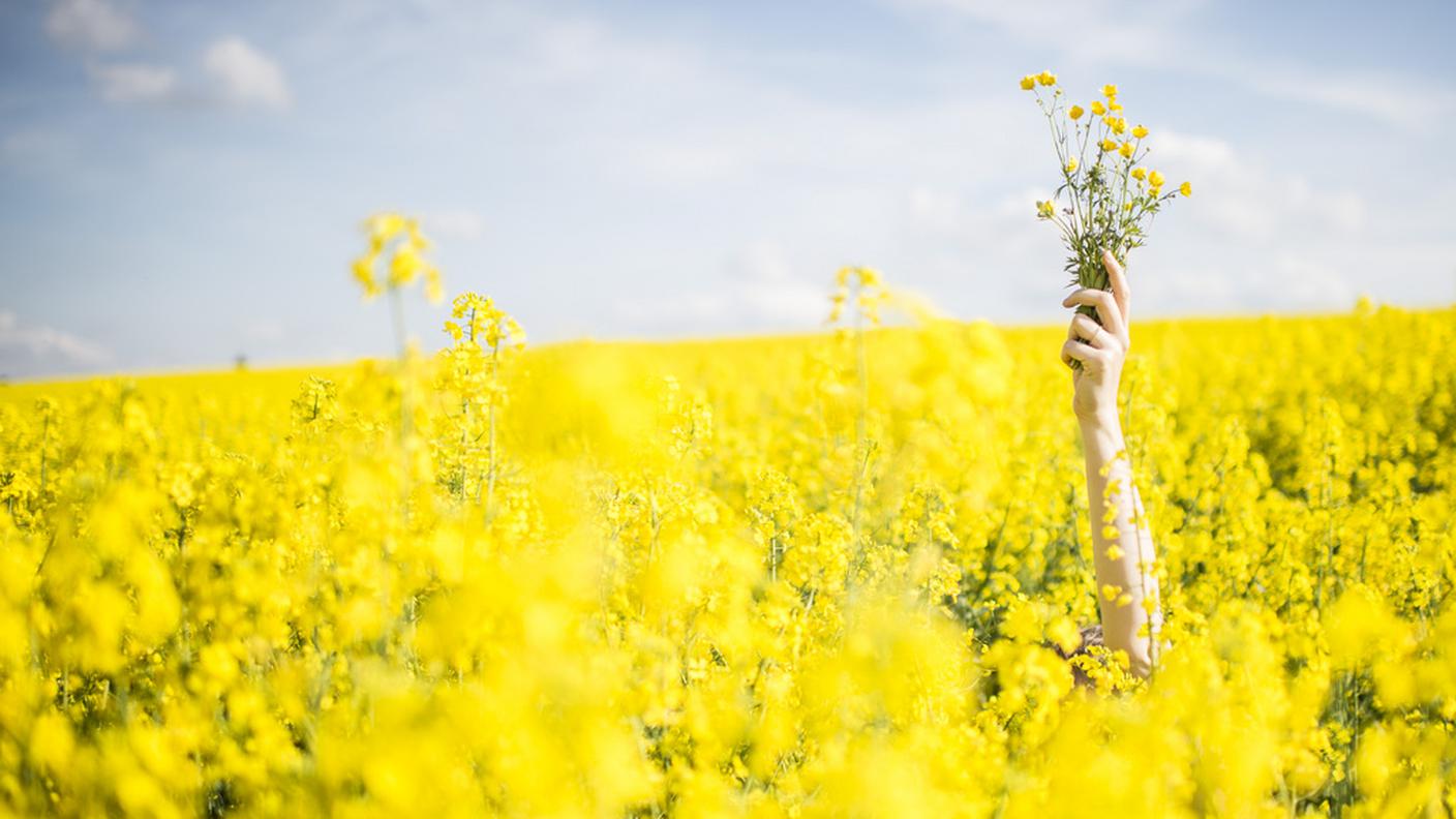 Donne in un giallo che non è mimosa...