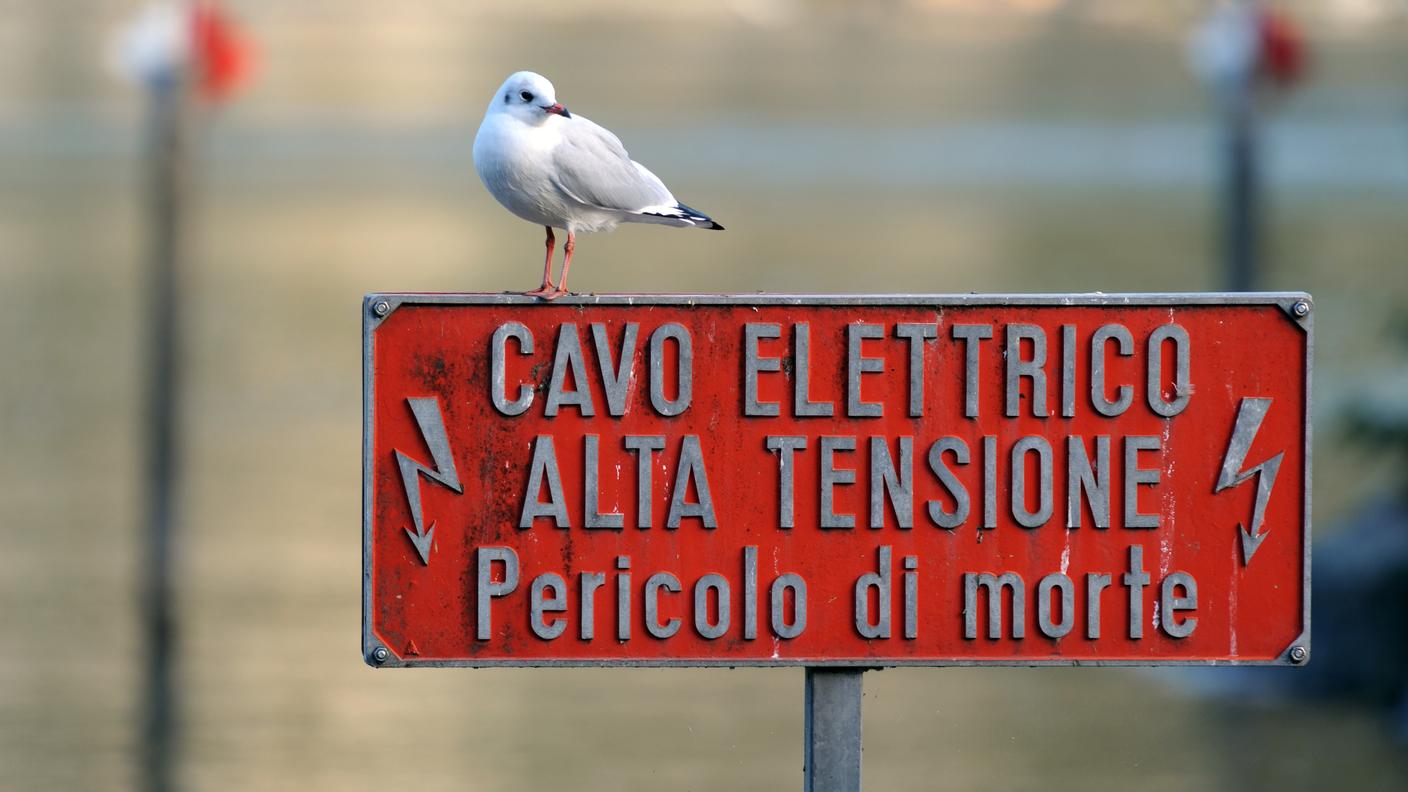 Immagine d'archivio
