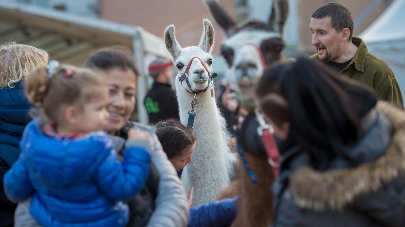 La fiera di San Provino
