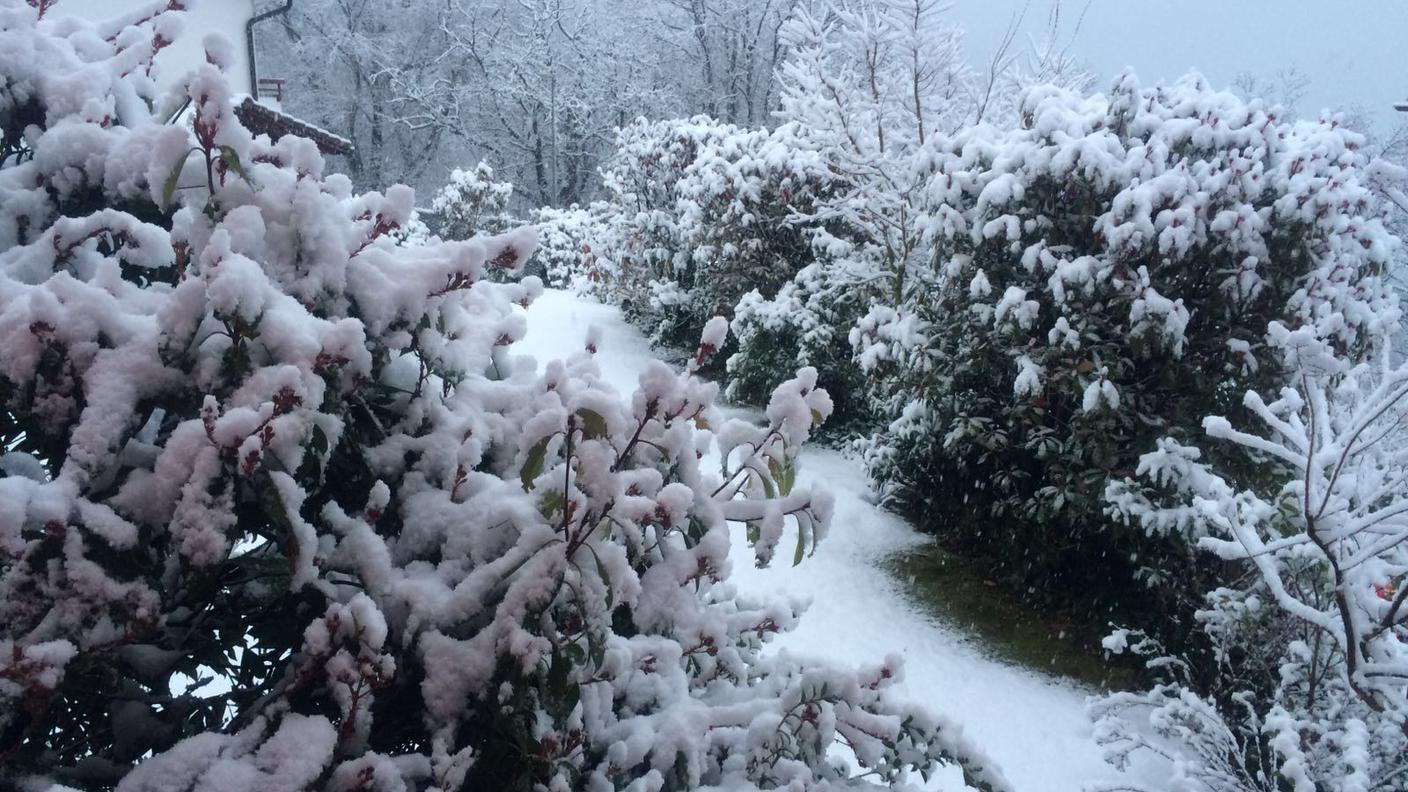 Bidogno questa mattina