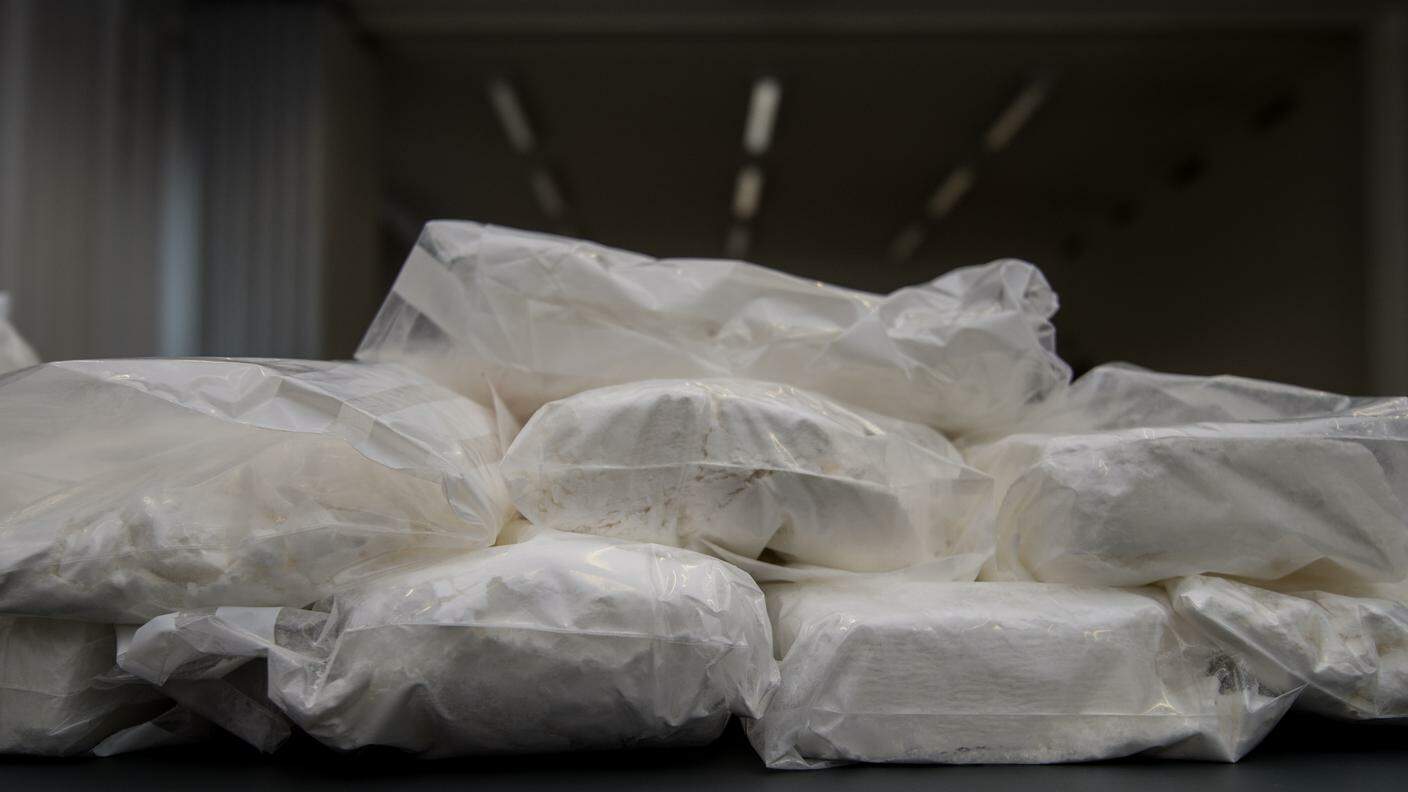 I 25 chili di cocaina fermati in dogana nel corso del 2015