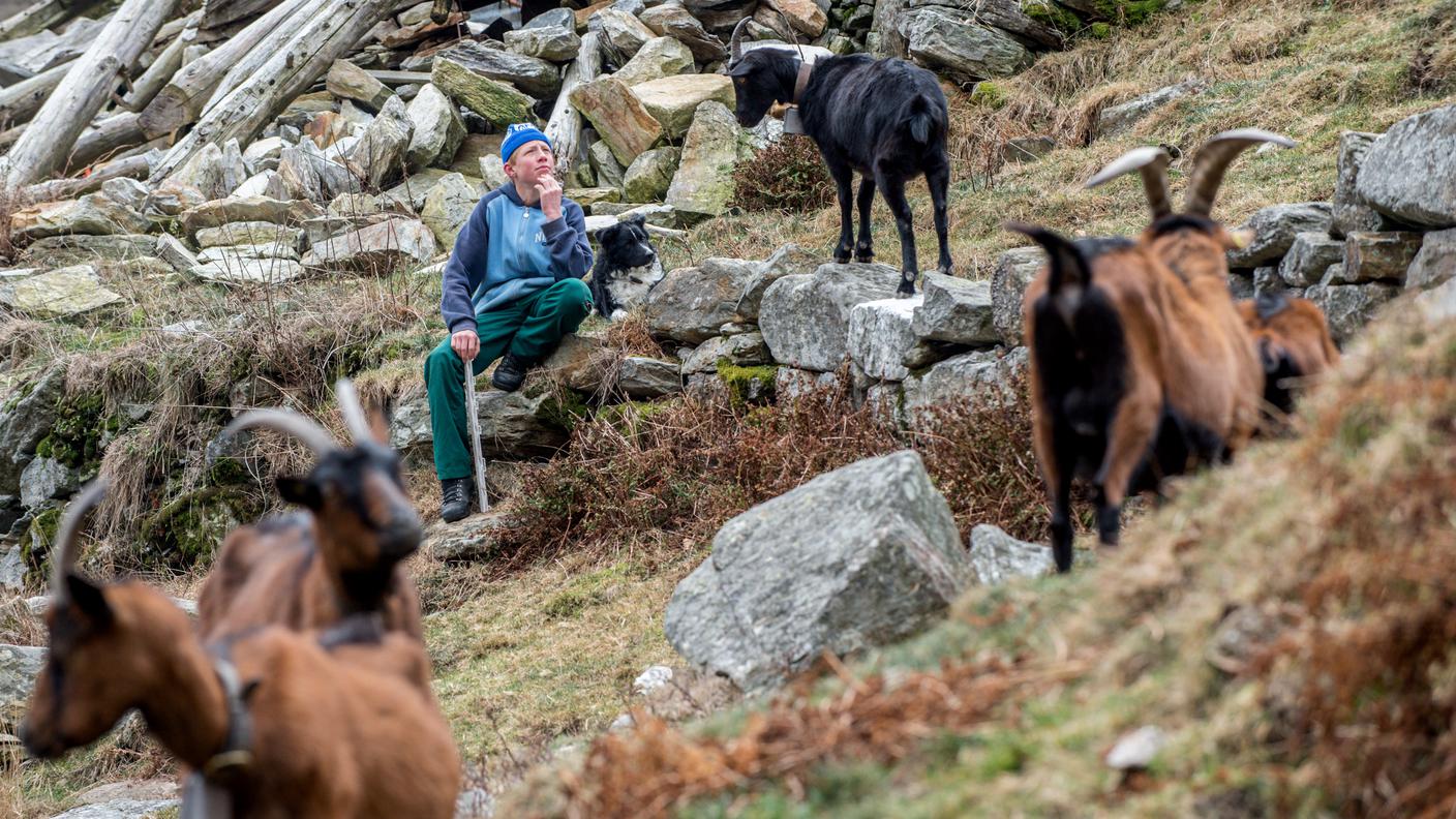 Un pastore in Val Verzasca