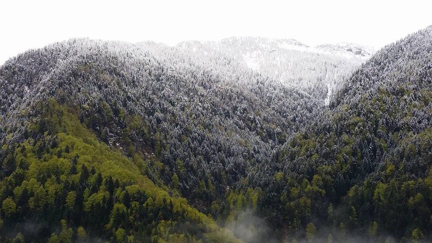 Le montagne innevate immortalate da Comologno