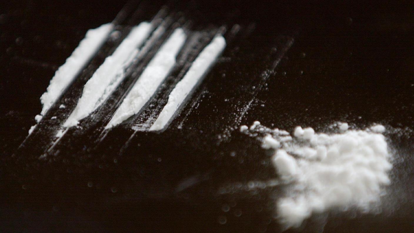 Il traffico di cocaina concerneva un quantitativo stimato in circa 1,5 kg