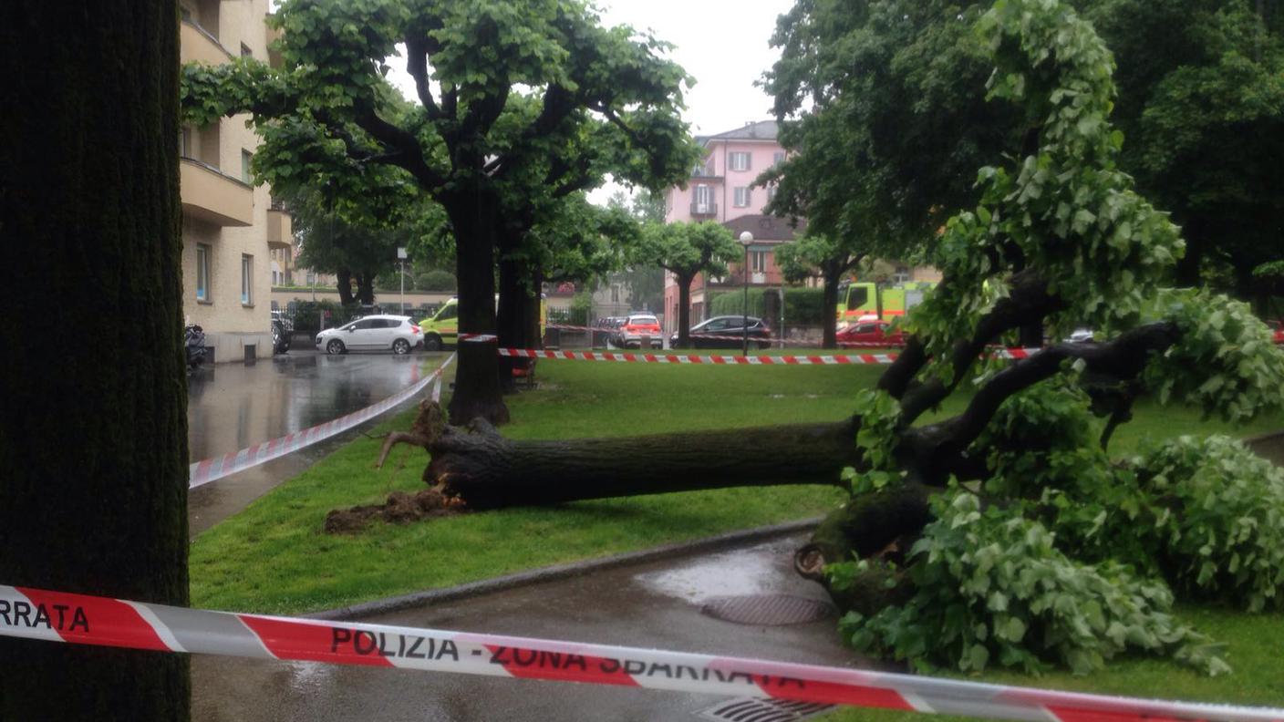 Un altro scatto realizzato sul luogo dell'incidente