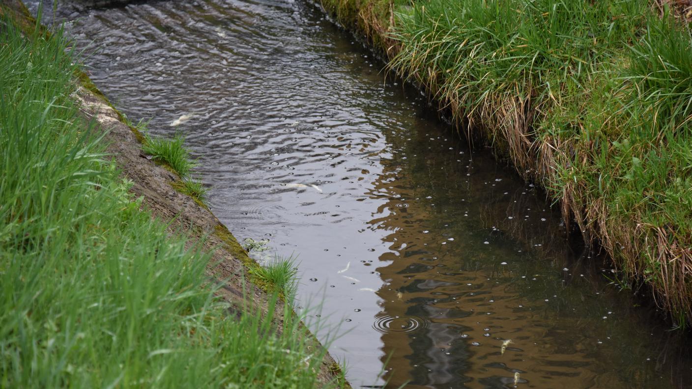 Il corso d'acqua ha subito diverse morie di pesci