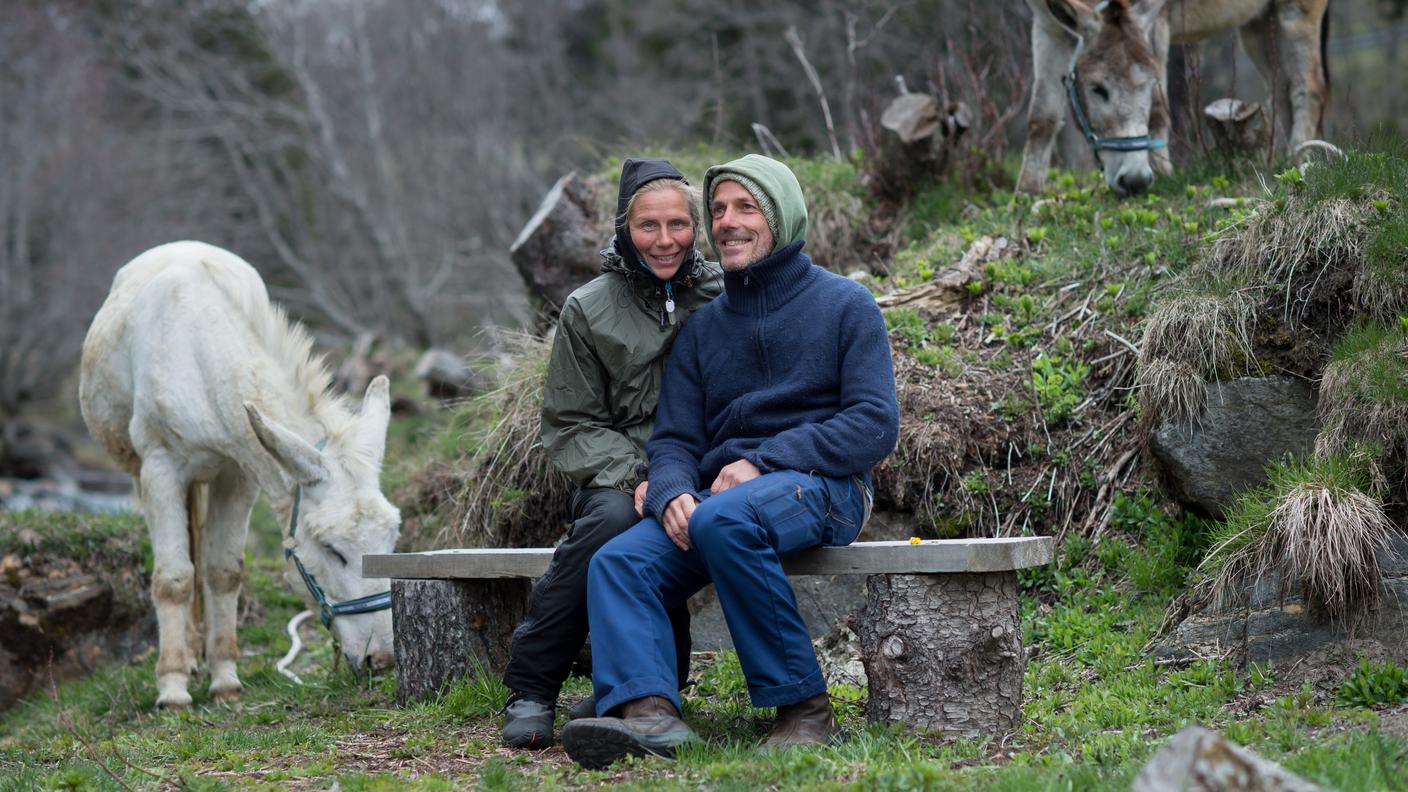 I quattro in uno dei loro rari momenti di riposo