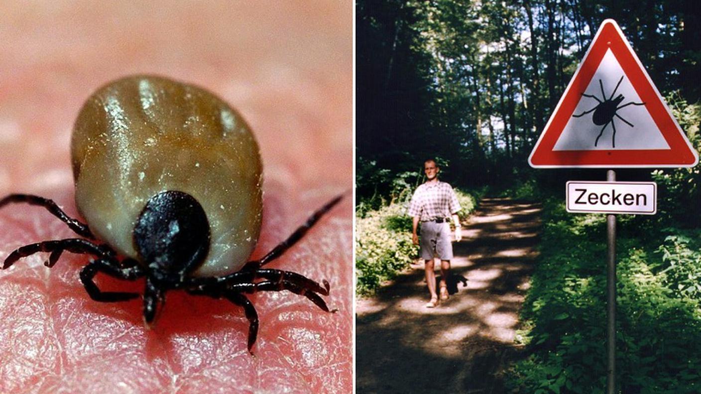 Malattie invalidanti possono insorgere se la cura è trascurata