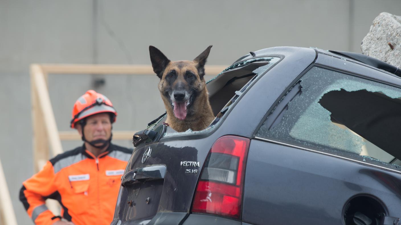 In campo circa 3'000 umani ma pure gli animali utili in caso di catastrofe