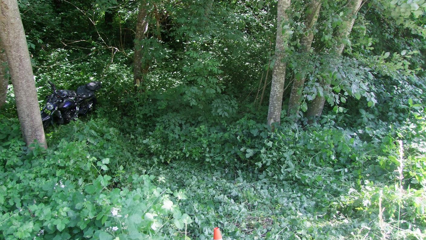 La moto nel bosco