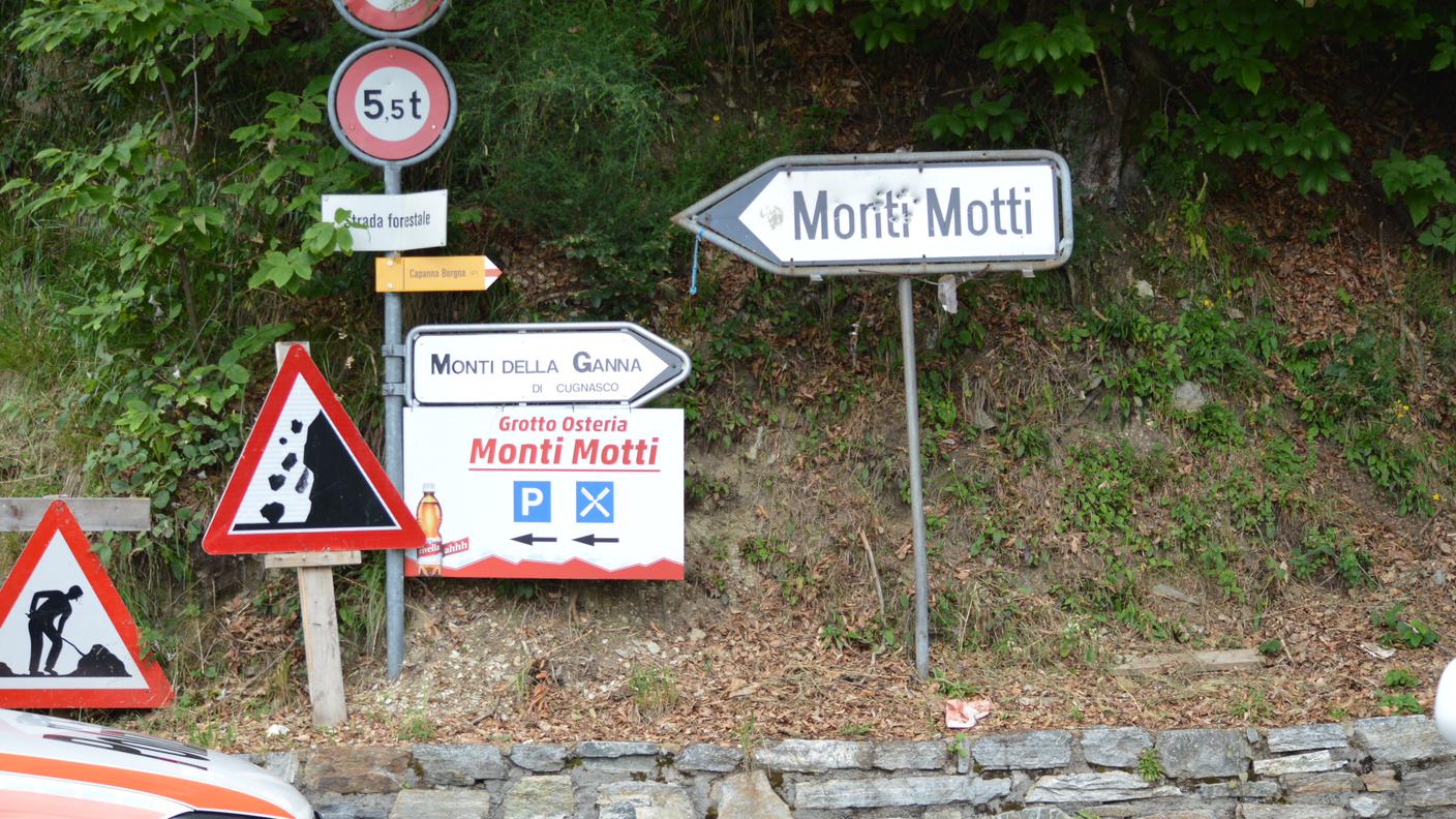 Il bivio sulla strada forestale