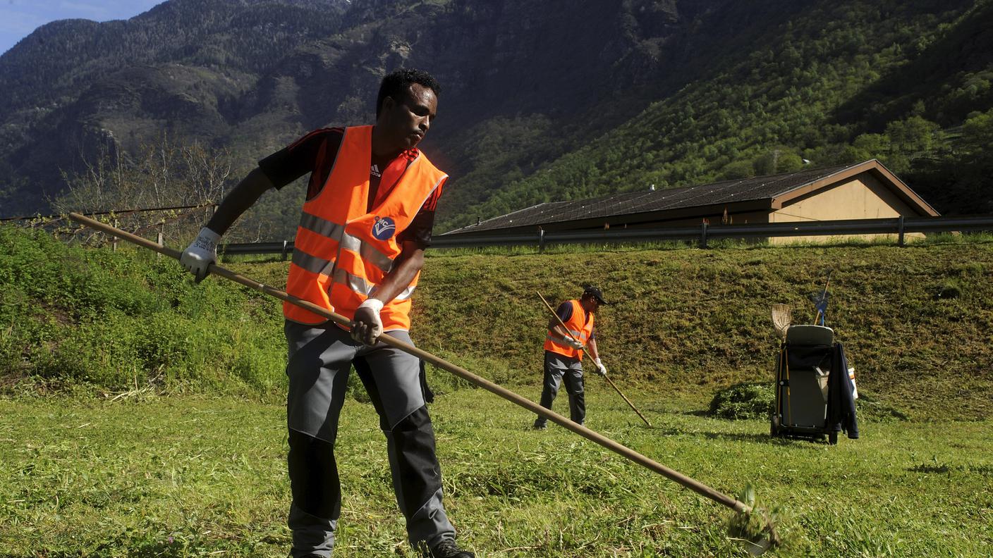 Migranti al lavoro (foto d'archivio)