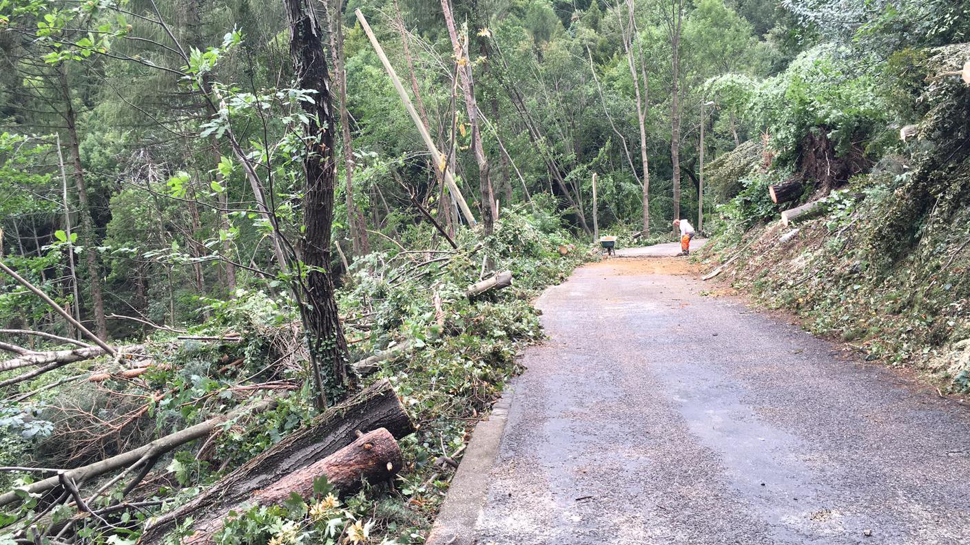 Lo sgombero della strada