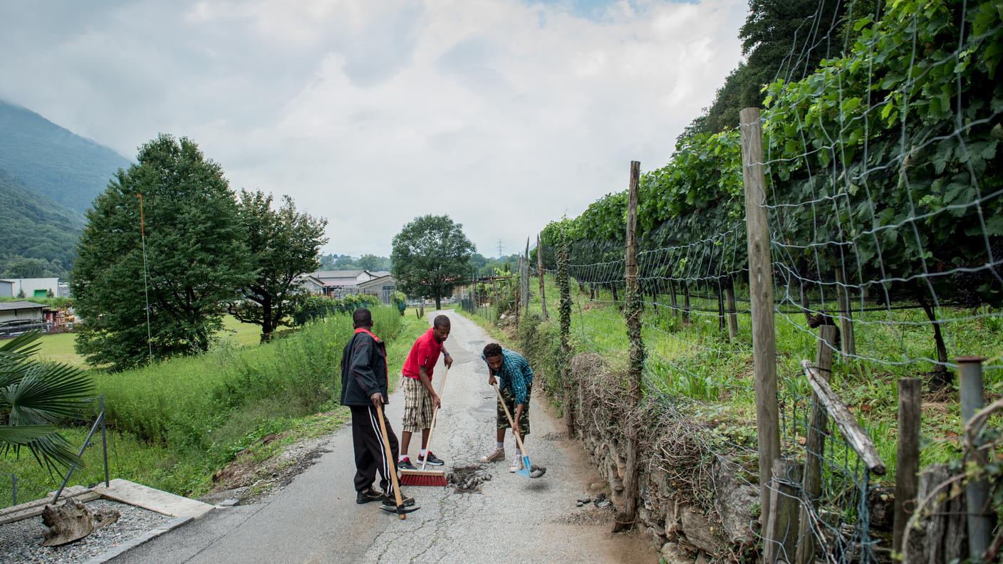 Piccoli lavori edili o pulizia dei sentieri