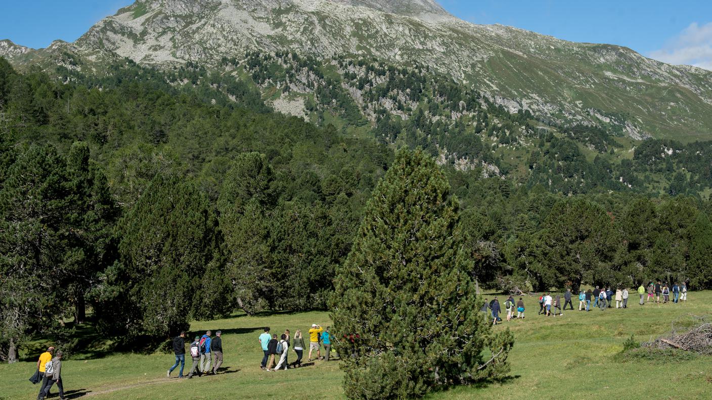 Si vota a fine novembre